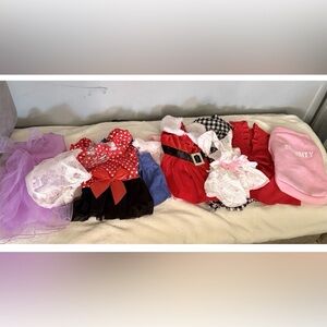 10 MEDIUM Girl Dog Clothes /Jumpers, /Dresses/ Jacket Maltipoo Photo Shoot NEW